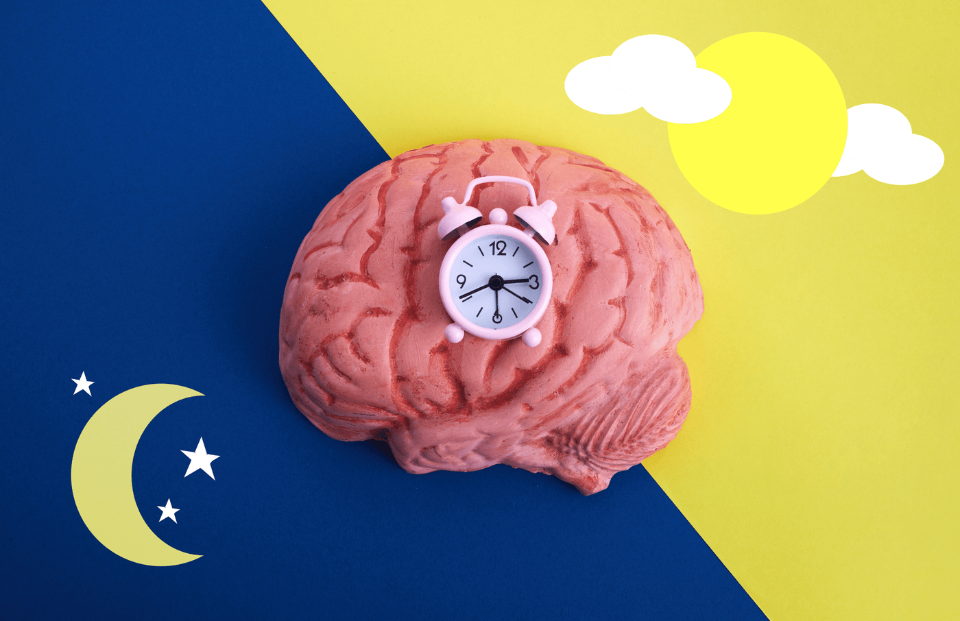 Unlocking Your Body's Hidden Rhythm: How Circadian Clocks Supercharge Your Health and Longevity